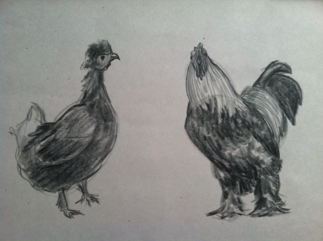 chicken-sketches8:4det2